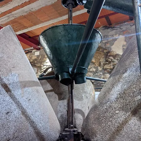 La Almazara Del Guijo