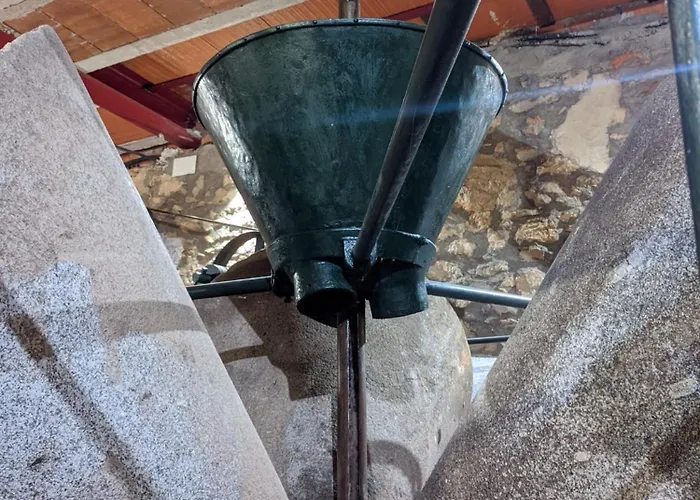 La Almazara Del Guijo